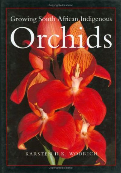 Growing South African Indigenous Orchids
