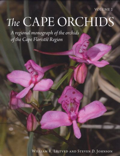 The cape orchid a regional monograph